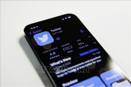 Twitter mất 50% doanh thu quảng cáo