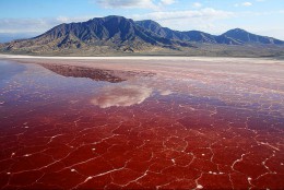 Hồ tử thần' trên lục địa châu Phi có thể trực tiếp vôi hóa động vật, màu sắc của hồ thay đổi theo mùa