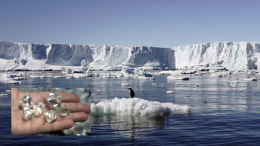 Phát hiện 'kho báu' 1.800 năm ở Nam Cực: Rùng mình nguồn gốc!