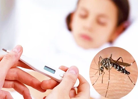 Hà Nội vừa ghi nhận thêm 8 ổ dịch sốt xuất huyết