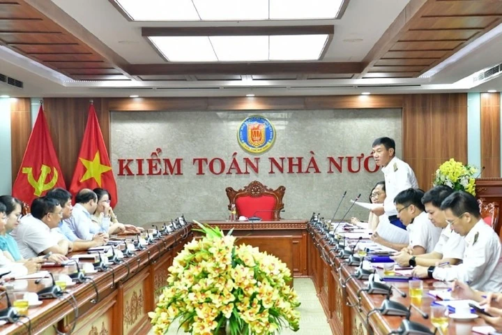 Kiểm toán Tập đoàn Điện lực và Tổng công ty Phát điện 2