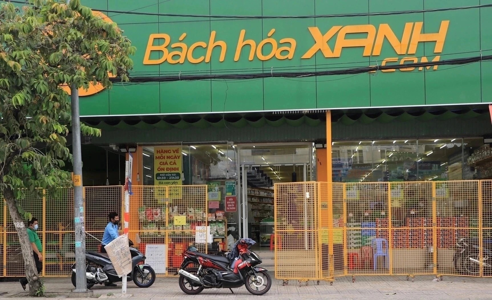 Bách Hóa Xanh tìm mặt bằng để 'Bắc tiến'