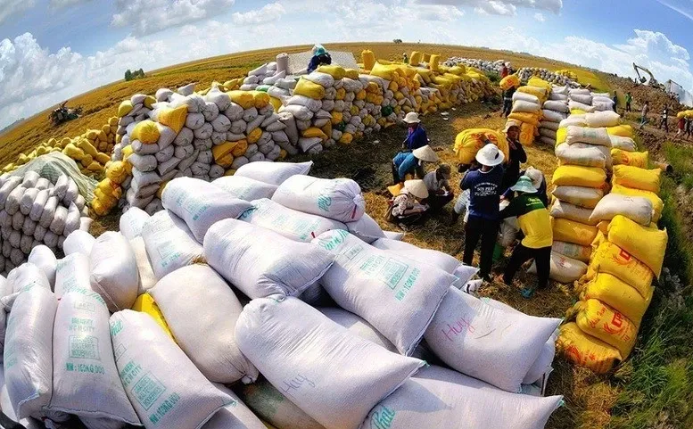 Tình hình gạo Việt Nam sau khi Philippines, Indonesia dừng nhập khẩu