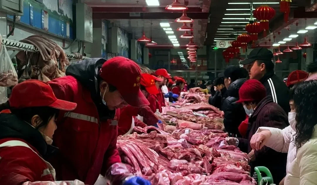 Trung Quốc đánh thuế sốc với thịt heo nhập, 4 quốc gia gặp khó