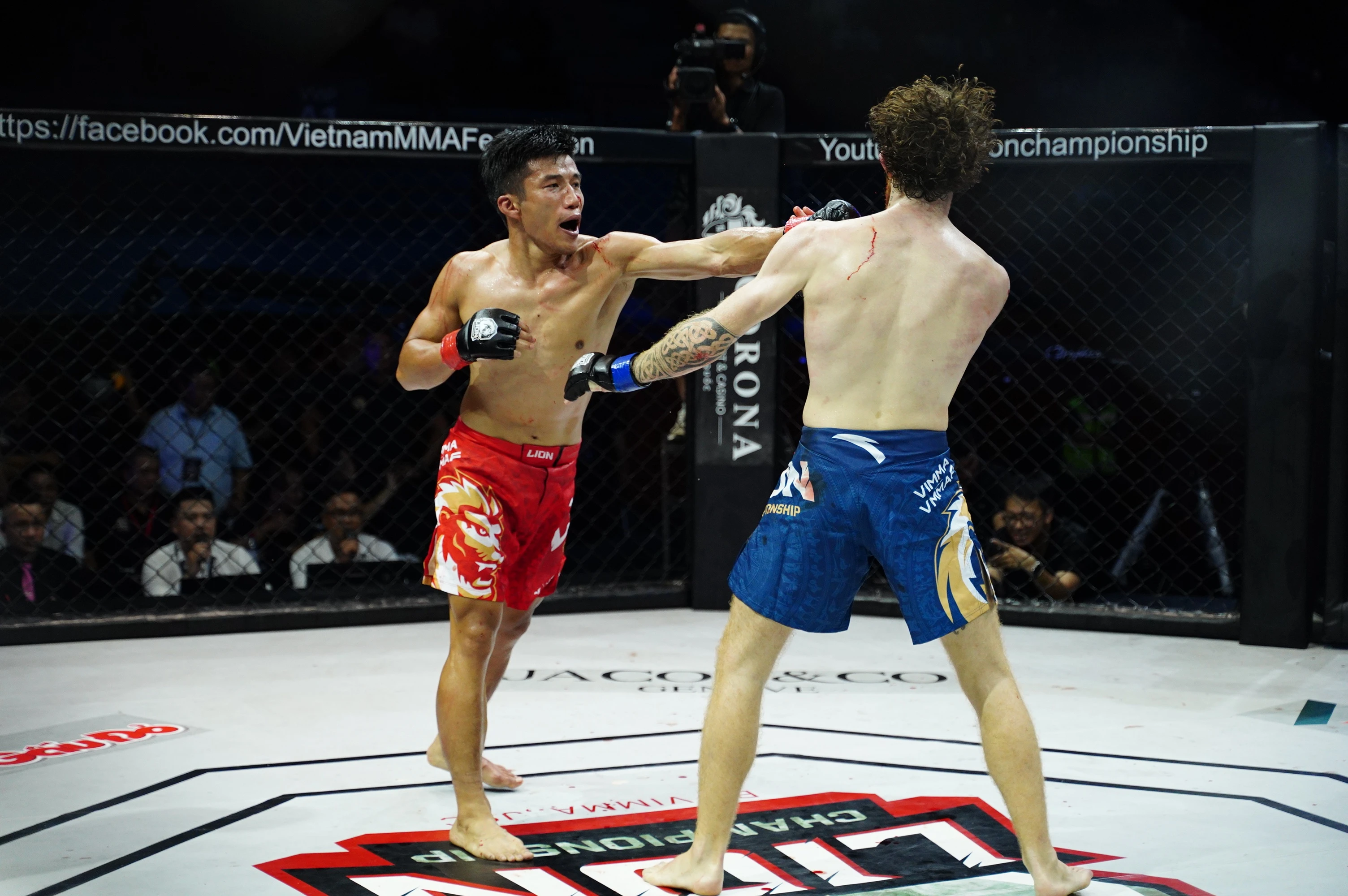 Trương Cao Minh Phát hạ nhà vô địch Kickboxing Ireland