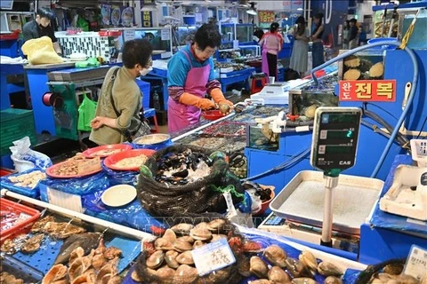 Hàn Quốc khuyến cáo tránh ăn hải sản sống vì vi khuẩn 'ăn thịt người'