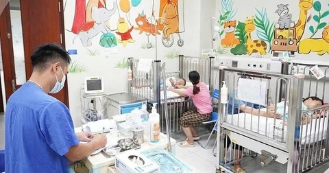 Bé 3 tuổi tử vong với 80 vết ong đốt ở Sơn La