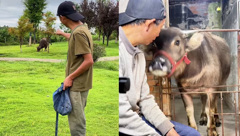 Trào lưu khoe quá khứ tù tội để nổi tiếng gây tranh cãi ở Trung Quốc