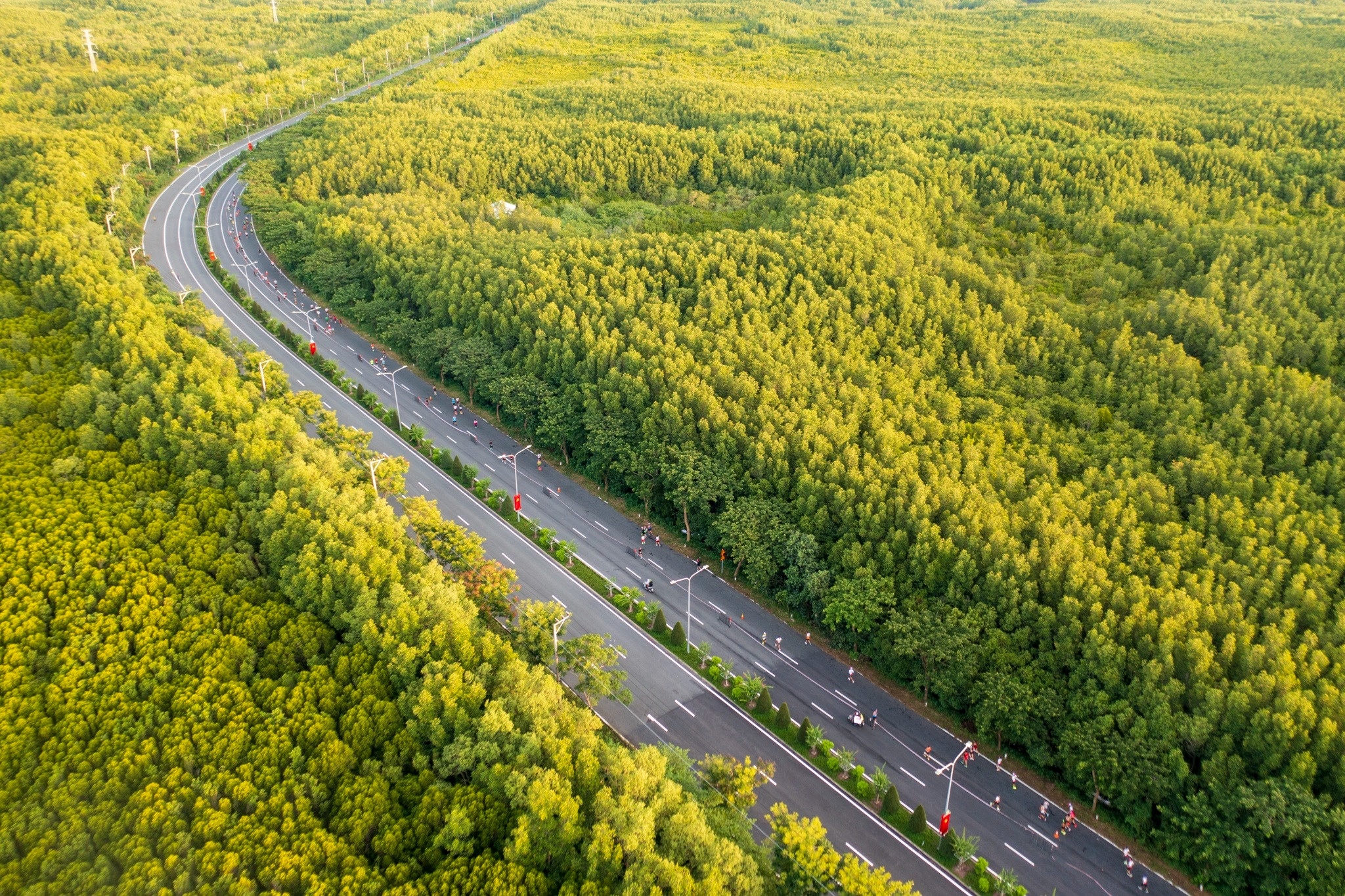 HDBank Green Marathon 2025 - giải chạy xanh nhất Việt Nam có gì?