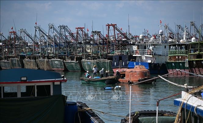 Hơn 1 triệu người Trung Quốc sơ tán vì bão Ragasa