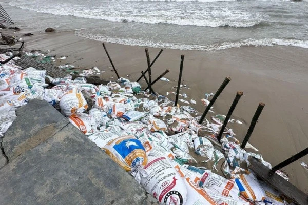 Bờ biển Quảng Trị bị sạt lở nghiêm trọng, người dân sống trong âu lo