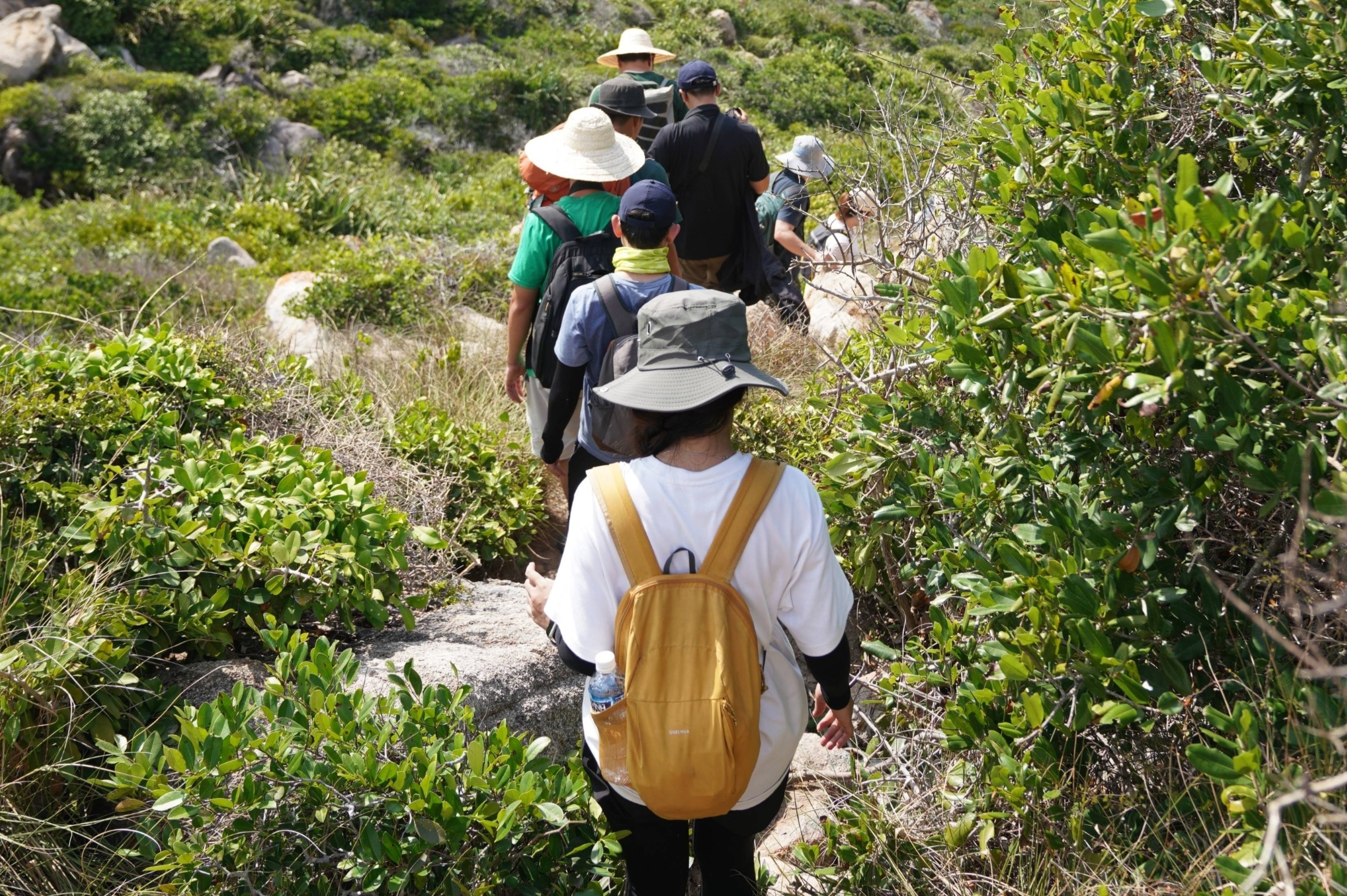 Công an vào cuộc vụ người dẫn đoàn 'đòi ôm hôn' khách trekking Tà Xùa