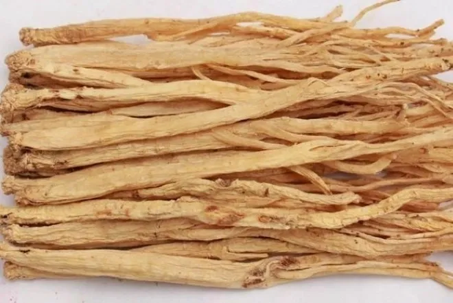 Việt Nam có 'vị thuốc đại bổ', giúp nâng tầm sức khỏe ít người biết