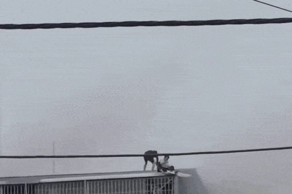 2 'người hùng' cầm búa tạ phá mái tôn, cứu 7 người thoát khỏi đám cháy