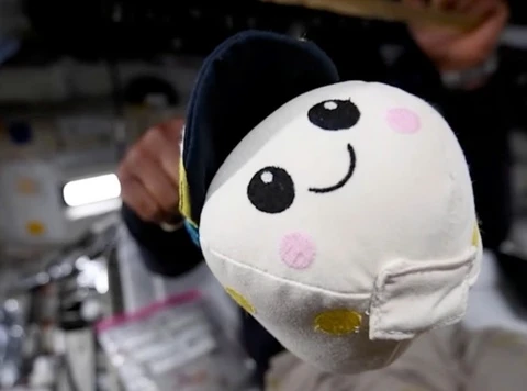Cậu bé 8 tuổi tạo gấu bông chỉ báo không trọng lực trên tàu Artemis II