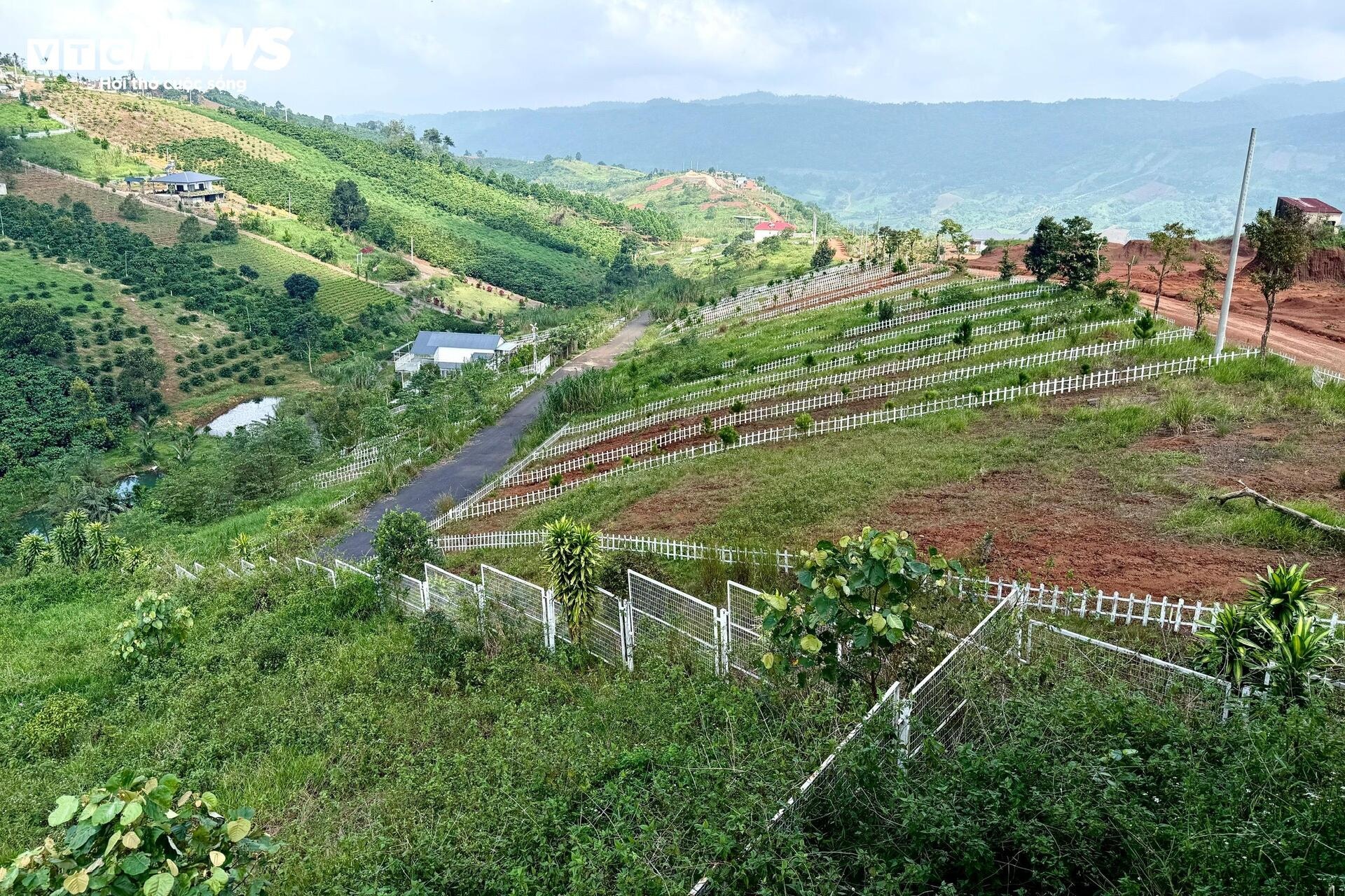 Đất nền phân lô 'chôn vốn' 4 năm, rao bán cắt lỗ không ai mua